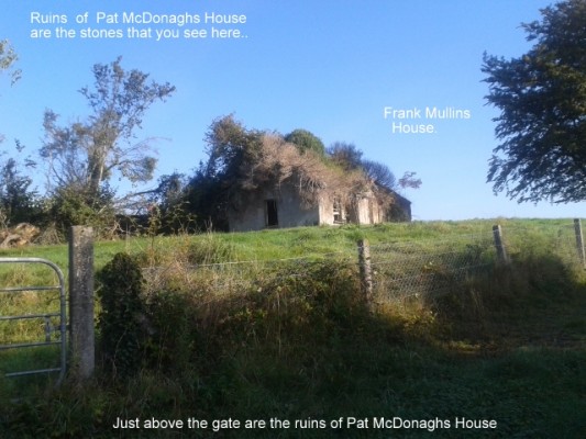 Ruins of McDonagh homestead