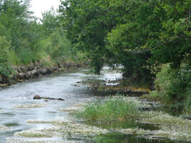 Abbert River, Abbeyknockmoy. | Elaine O'Riordan