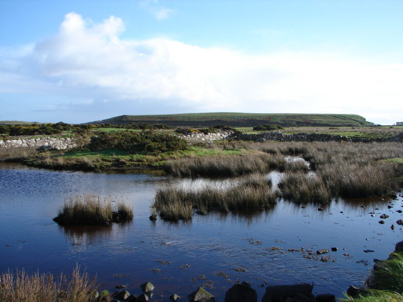 Saltmarsh habitat, Bearna. | Elaine O'Riordan