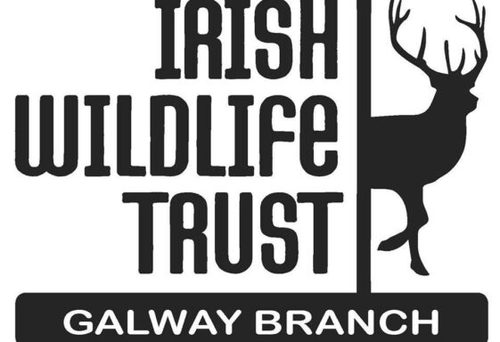Irish Wildlife Trust