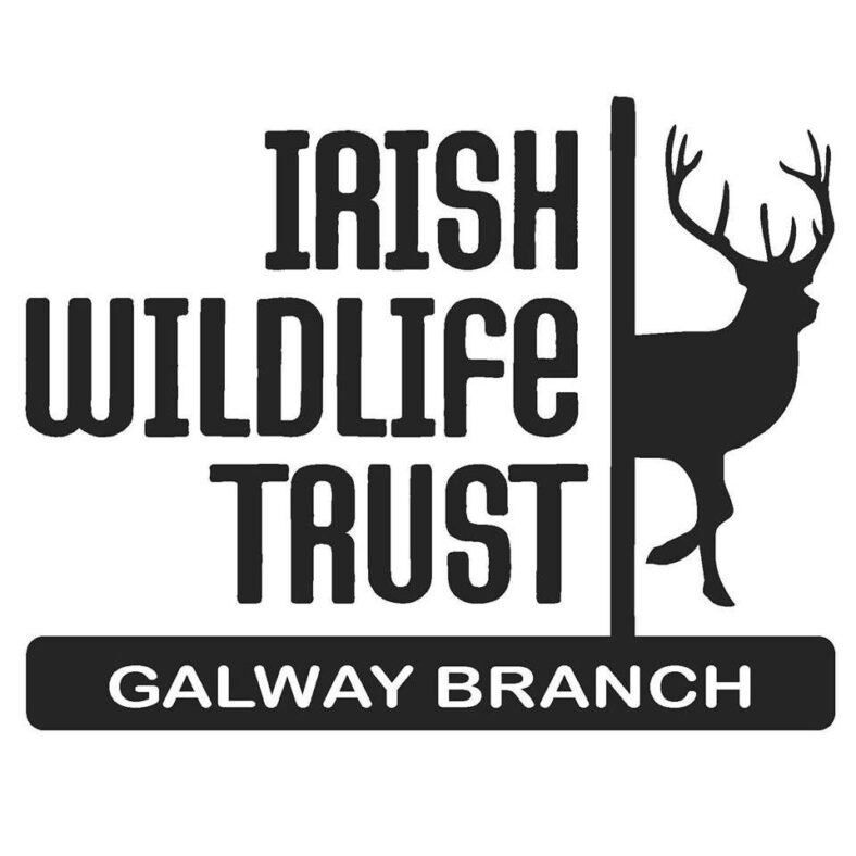 Irish Wildlife Trust