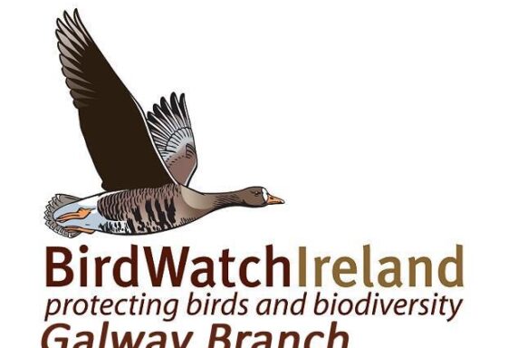 BirdWatch Ireland