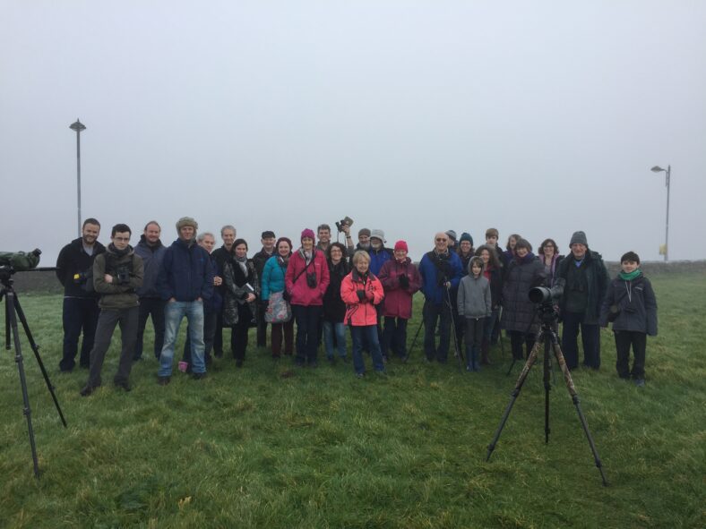 BirdWatch outing, Nimmos Pier, Jan 2017 | Tom Cuffe