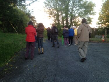 Dawn Chorus at Greenfields | Headford Environment Group