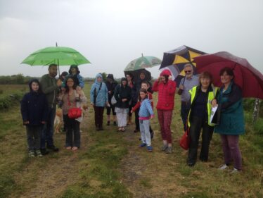 Nature Ramble 2016 | Headford Environment Group