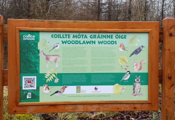 Woodlawn Nature Trail Launch