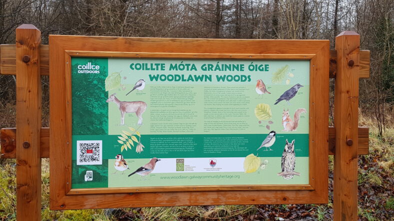 Nature of the woods sign at Woolawn | Catherine Seale