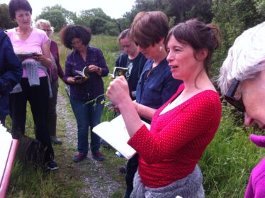 Learning about flora of Portumna with Caroline Lalor | Noreen Lyons
