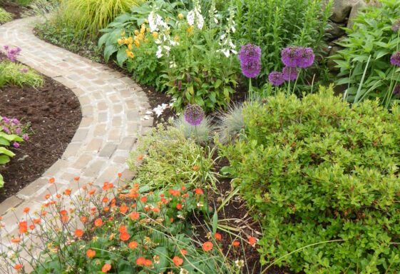 Tidy Towns- working with nature