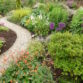 Tidy Towns- working with nature