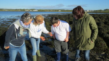 Coastwatch Survey 2015 | Aine Clarke