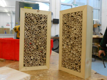 Nesting boxes for bees | Aine Clarke