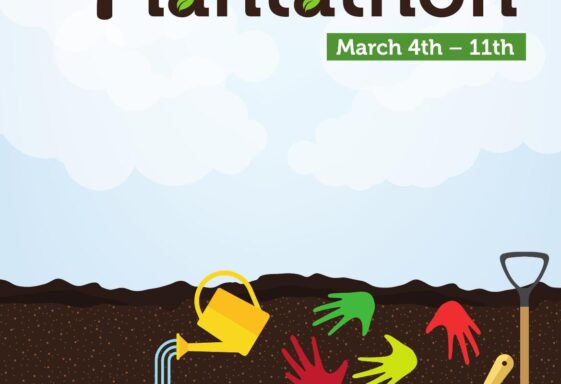 Knockdoemore Plantathon