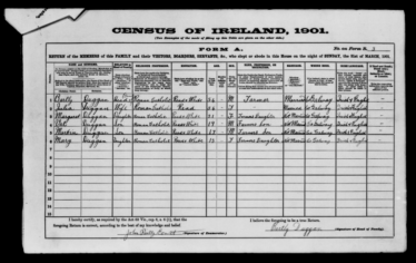 Census of Ireland, 1901 - Form A | National Archives of Ireland (NAI) CC BY