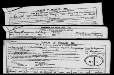 Census of Ireland, 1910 - Form N, B1 & B2 | National Archives of Ireland (NAI) CC BY