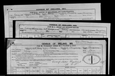 Census of Ireland, 1911 - Form N, B1 & B2 | National Archives of Ireland (NAI) CC BY-ND