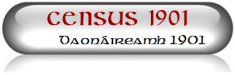 Census 1901 Icon