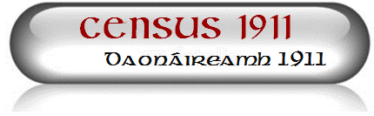 Census 1911 Icon