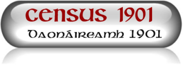 Census 1901