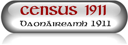 Census 1911 Icon