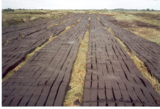 The Bogs of Claregalway