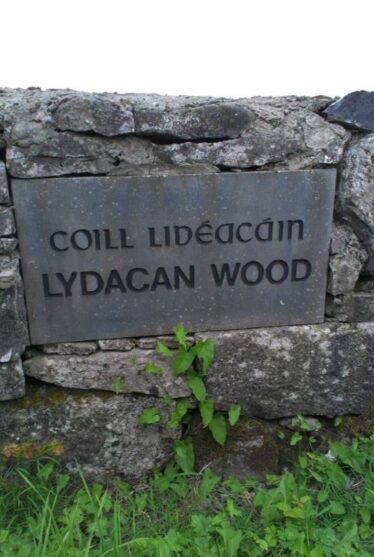 Lydican Wood Name Stone, 1996 | Josette Farrell, Claregalway.info