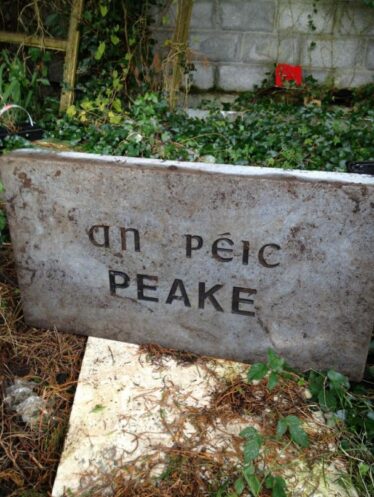 Peake Name Stone, 1996 | places.galwaylibrary.ie/maps
