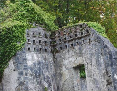 Individual pigeon holes in dovecote. | Christy Cunniffe