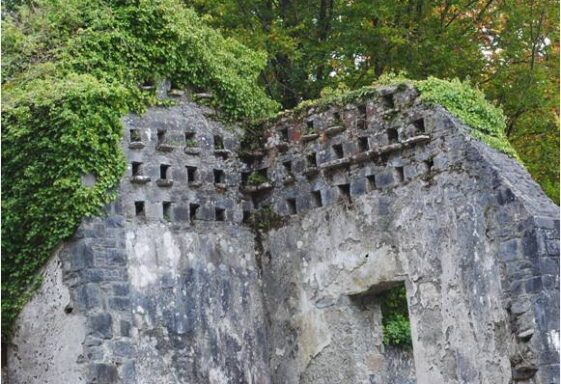 Coole Dovecote