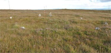 Stone circle comprising of seven stones | Christy Cunniffe