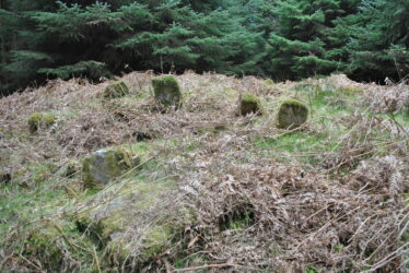 Children's Burial Ground | Christy Cunniffe