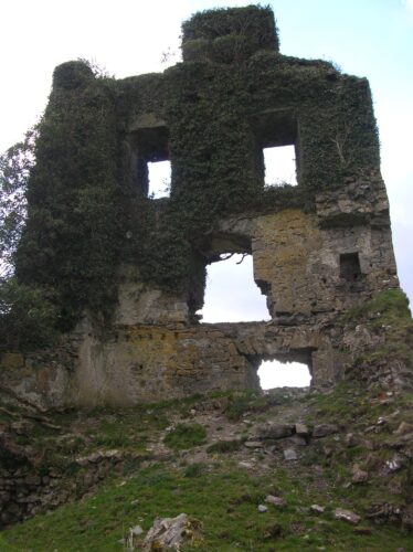 Ballydonnelan castle | Christy Cunniffe