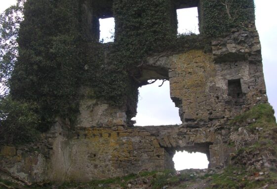 Ballydonnelan castle