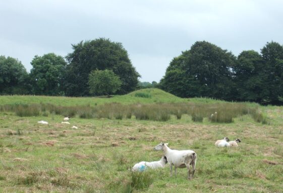 Somerset Barrow