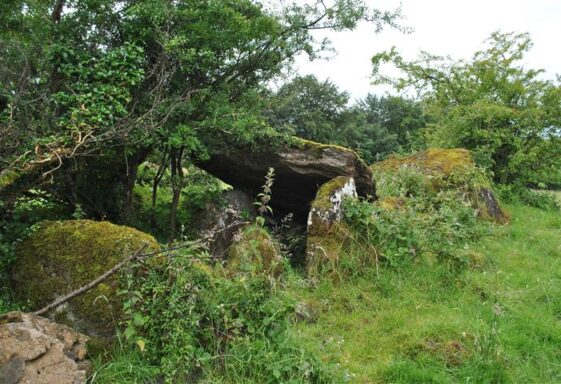 Wedge Tomb - Marblehill