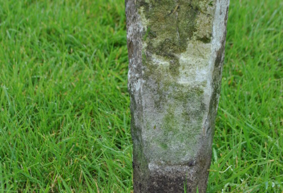 Killogilleen cross slab (2)