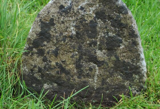 Killogilleen cross slab (1)