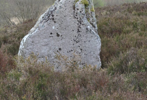 Standing stone Woodford