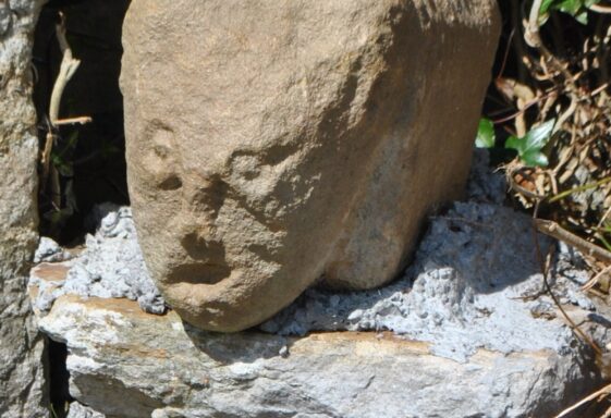Addergoole Head