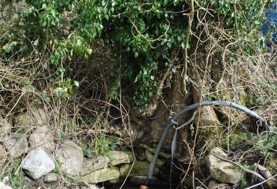Drimkeary holy well