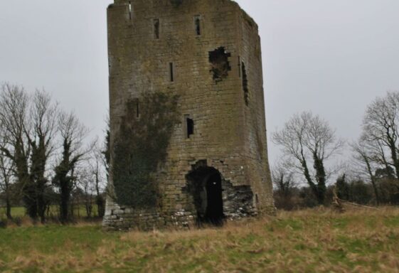 Ballynahivnia Castle
