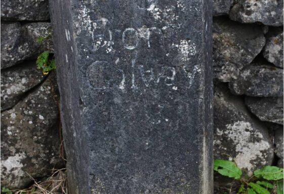 Coole Park Milestone