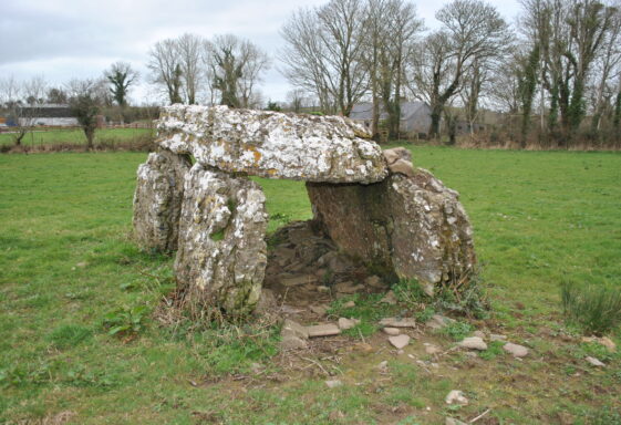 Kilcrimple Wedge Tomb