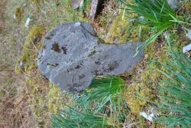 Cross slab with expanded head. | Christy Cunniffe