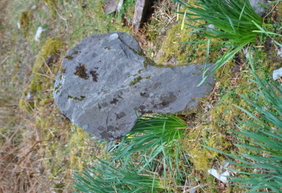Salrock cross slab