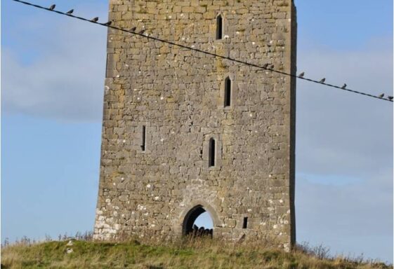 Deerpark Castle