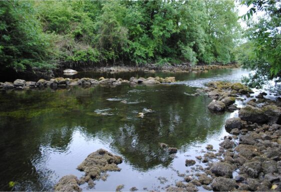 Meelick fish trap