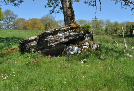 Portal tomb Marblehill