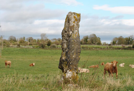 Ballyboy standing stone.