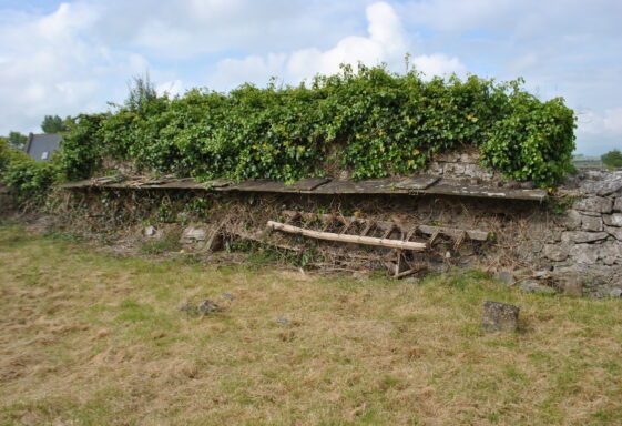 Ardrahan Church ladder shelter